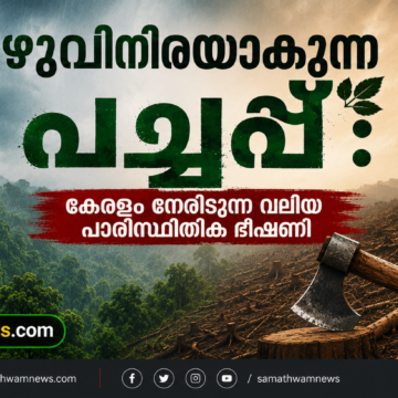 മഴുവിനിരയാകുന്ന പച്ചപ്പ്: കേരളം നേരിടുന്ന വലിയ പാരിസ്ഥിതിക ഭീഷണി